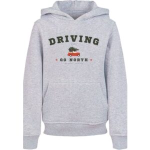 F4NT4STIC Hoodie Driving Home Weihnachten heather grey