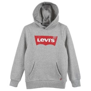 Levi's® Kids Boys Kapuzenpullover hellgrau