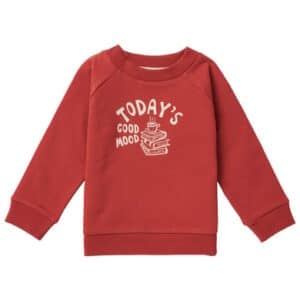 Noppies Pullover Toast Tandori Spice