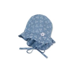 Sterntaler Sonnenhut Blumen mittelblau