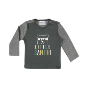 pink or blue Langarmshirt Wild grey