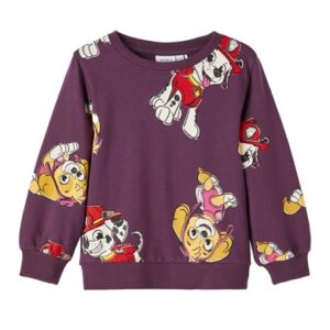 name it Sweatshirt Paw Patrol Nmfosba Hortensia