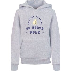 F4NT4STIC Hoodie Eisbär Knut & Jan Hamburg heather grey