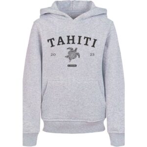 F4NT4STIC Hoodie Tahiti heather grey