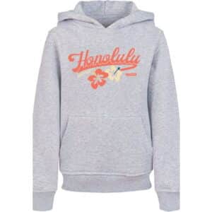 F4NT4STIC Hoodie Honolulu heather grey