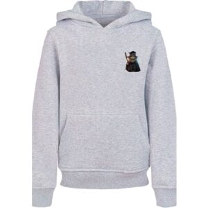 F4NT4STIC Hoodie Wizard Cat HOODIE UNISEX heather grey