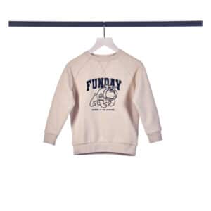 TOM TAILOR Sweatshirt Raglan Dusty Beige